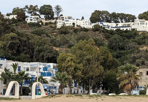 Sidi Bou Saïd | D’une gestion d’urgence à un plan d’action structurel 