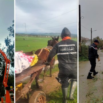 Jendouba | La Commission régionale appelle les habitants à la prudence