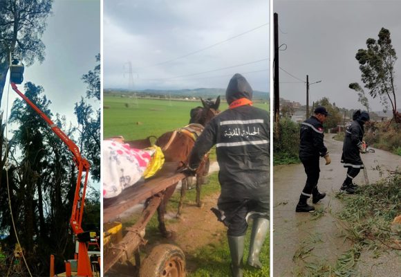 Jendouba | La Commission régionale appelle les habitants à la prudence