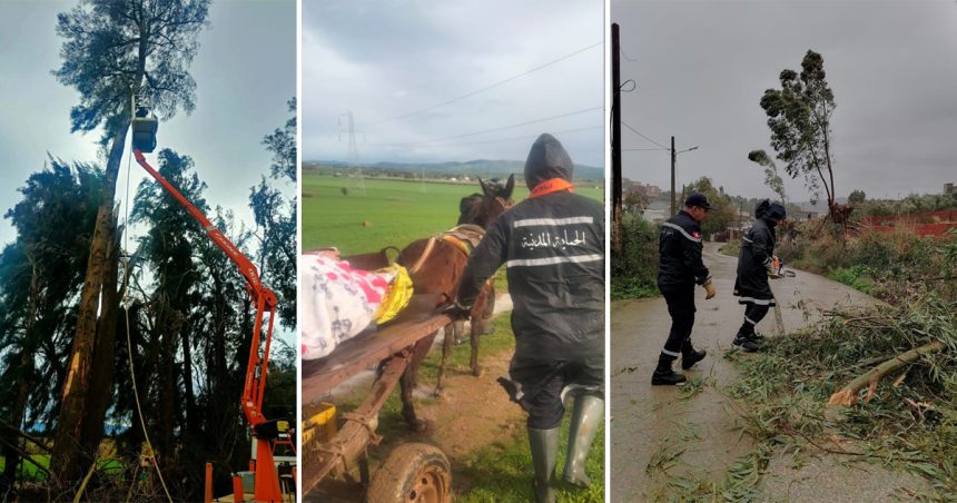 Jendouba | La Commission régionale appelle les habitants à la prudence