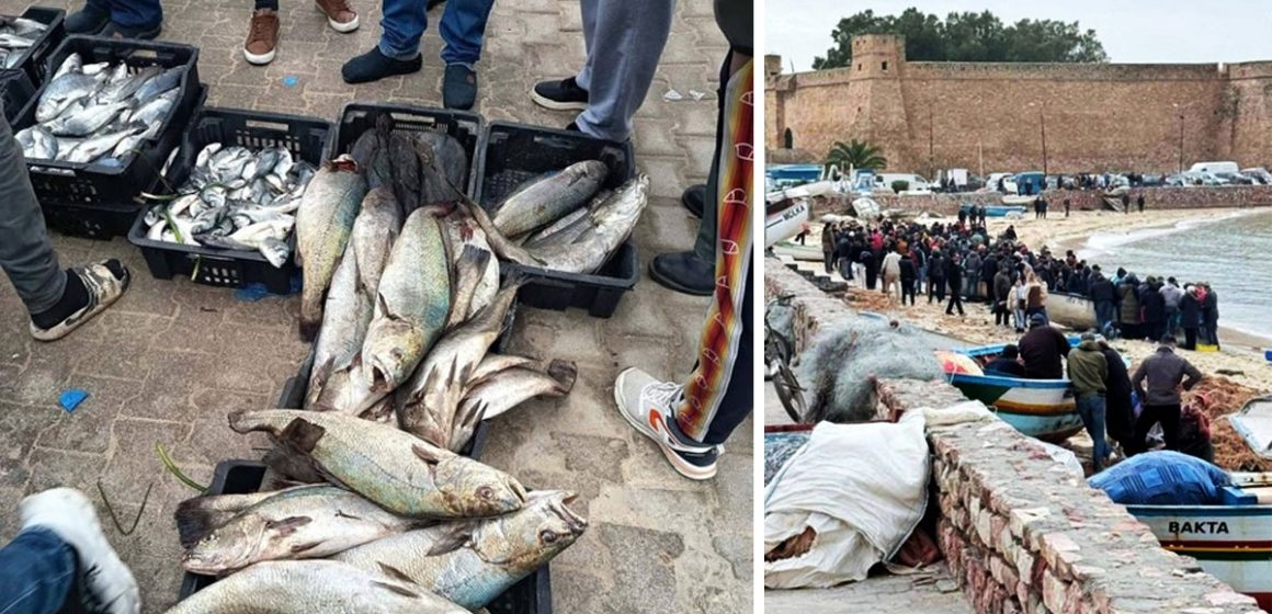 Tunisie | Évasion de poissons des installations aquacoles