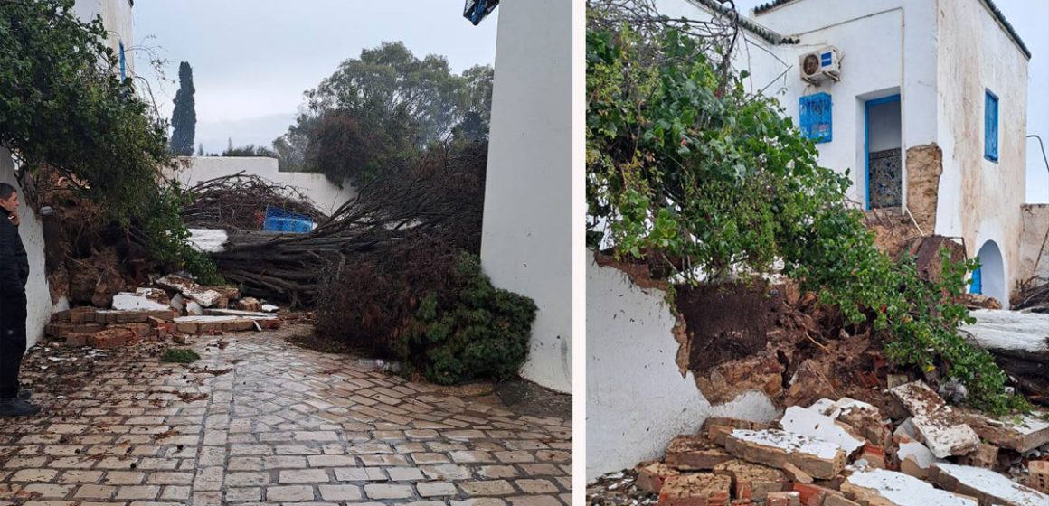 Sauvons Sidi Bou Saïd de l’érosion marine !