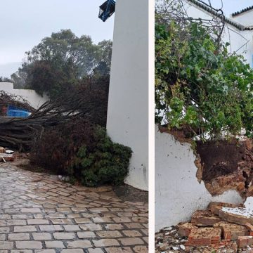 Sauvons Sidi Bou Saïd de l’érosion marine !