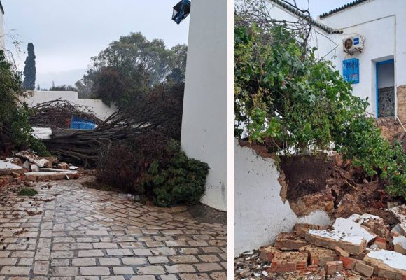 Sauvons Sidi Bou Saïd de l’érosion marine !