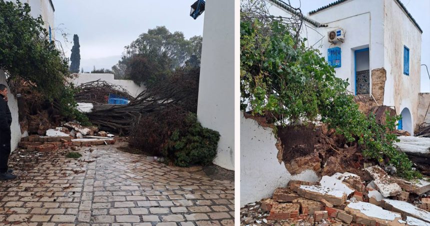 Sauvons Sidi Bou Saïd de l’érosion marine !