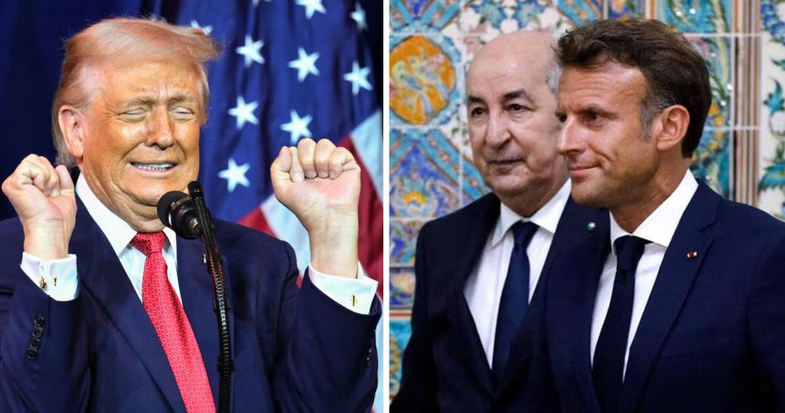 Trump ajoute Tebboune et Macron à son tableau de chasse