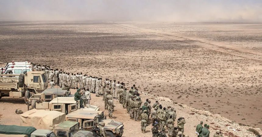 Tunisie | Planification de l’exercice militaire African Lion 2026