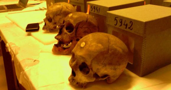 Cranes-de-resistants-algeriens-en-France France – Algérie | «Pas de réconciliation sans vérité»