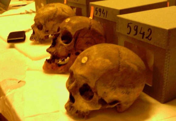 France – Algérie | «Pas de réconciliation sans vérité»