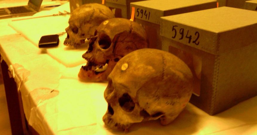 Cranes-de-resistants-algeriens-en-France France – Algérie | «Pas de réconciliation sans vérité»