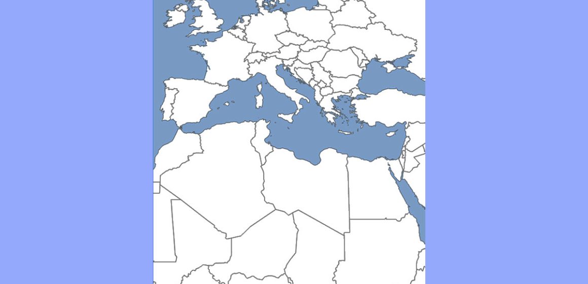 Europe-Maghreb-Afrique | Les voies du codéveloppement  