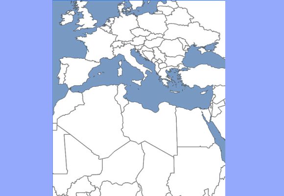 Europe-Maghreb-Afrique | Les voies du codéveloppement  