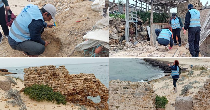 INP Bizerte Découvertes archéologiques après les intempéries | L’INP mobilise ses experts