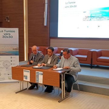 Vers l’extension des aires marines protégées en Tunisie