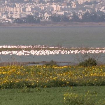 Le Lac Sijoumi sera-t-il un jour un site touristique ?   
