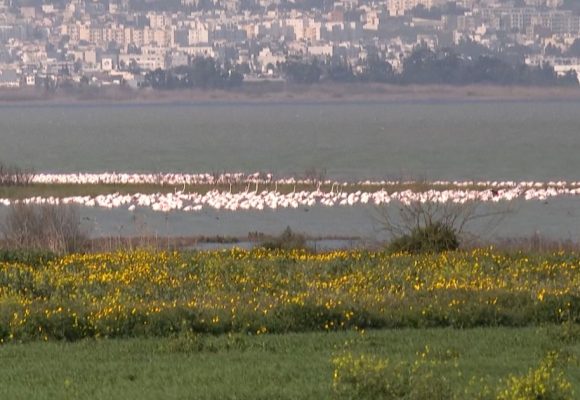 Le Lac Sijoumi sera-t-il un jour un site touristique ?   