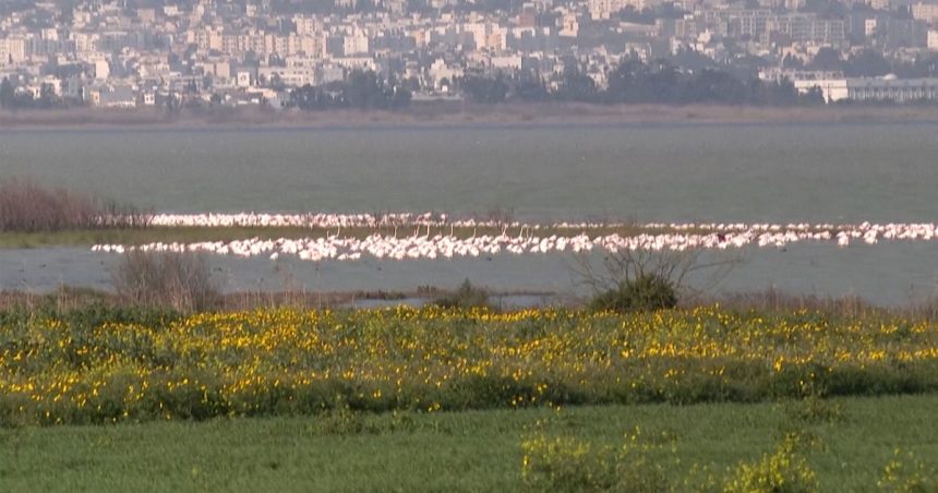 Le Lac Sijoumi sera-t-il un jour un site touristique ?   