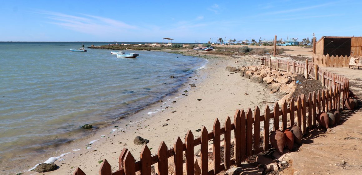 Tunisie | Une ceinture bleue pour protéger les plages   