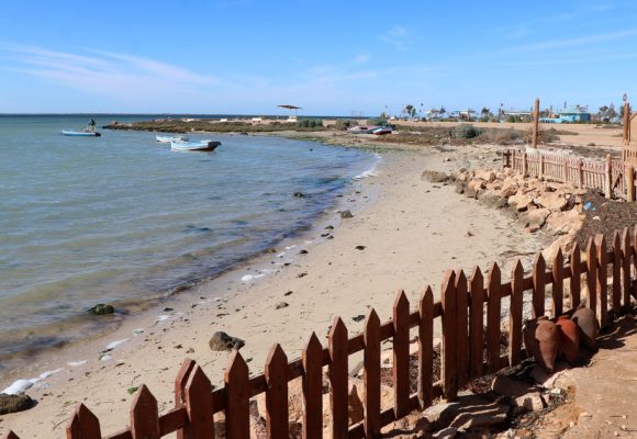 Littoral-Zarzis Tunisie | Une ceinture bleue pour protéger les plages