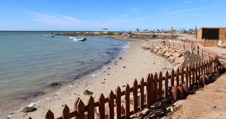 Tunisie | Une ceinture bleue pour protéger les plages   