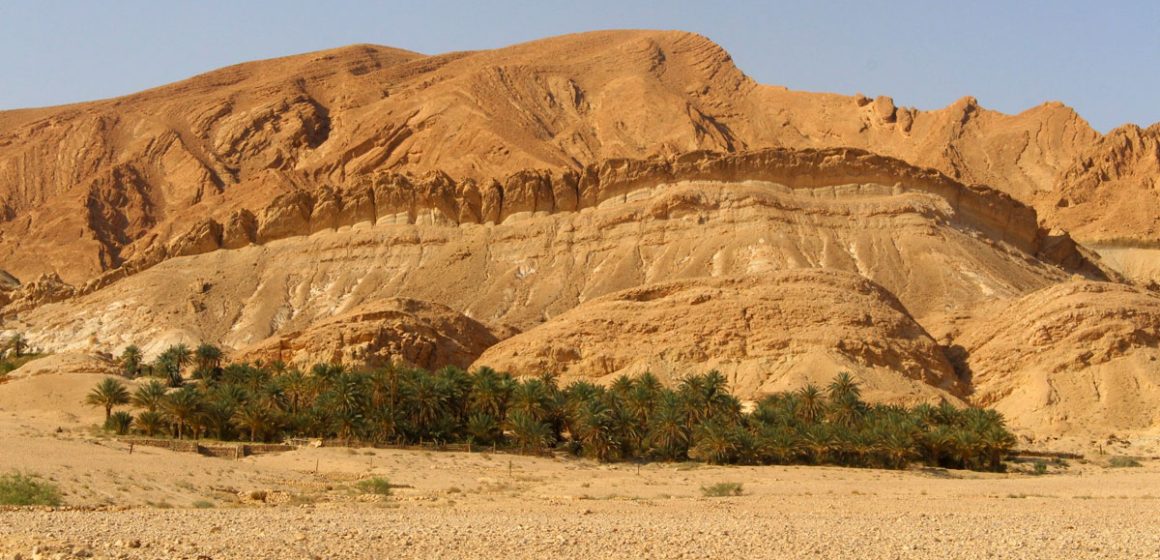 Le ghot, un système hydro-agricole oasien