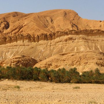 Le ghot, un système hydro-agricole oasien