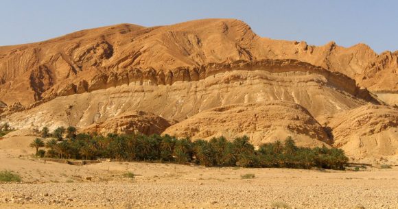 Oasis-Tunisie-2 Le ghot, un système hydro-agricole oasien
