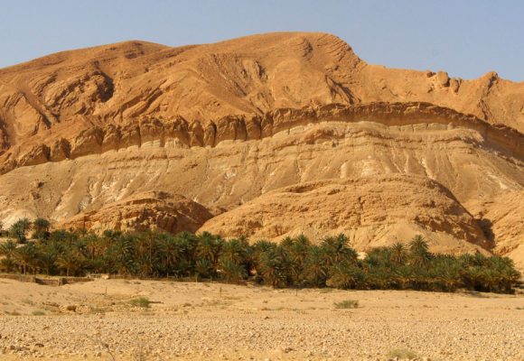 Le ghot, un système hydro-agricole oasien