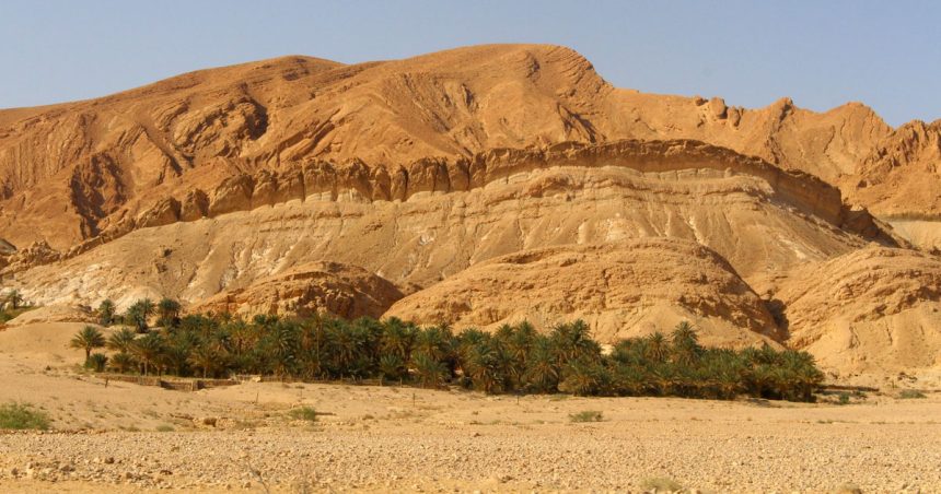 Le ghot, un système hydro-agricole oasien