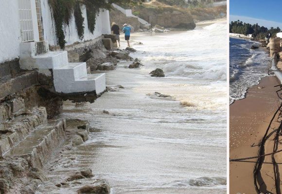 Pollution du littoral | Urgence environnementale à Hammamet