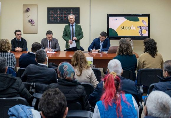 Tunisie – Italie | L’oléiculture face au changement climatique