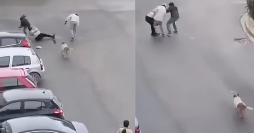 Du nouveau dans l&rsquo;affaire du braquage à l&rsquo;arme blanche à la Soukra (DGSN)