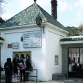 Tunis | Réouverture du zoo du Belvédère ce 30 mai