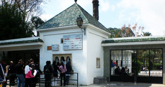 Zoo-du-belvedere Tunis | Réouverture du zoo du Belvédère ce 30 mai