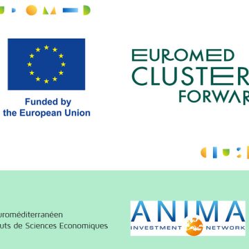 Séminaire à Tunis | Clusters et intégration dans les chaînes de valeur