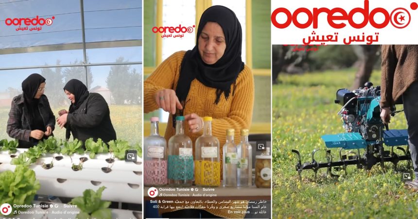 « Tounes T3ich » | Ooredoo Tunisie soutient 400 familles rurales à travers une initiative de développement durable