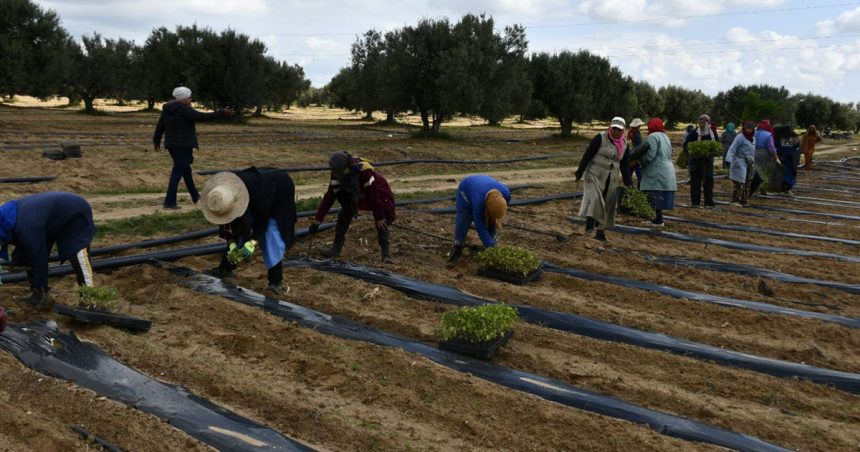 Formation à Tunis sur la gestion durable des sols   