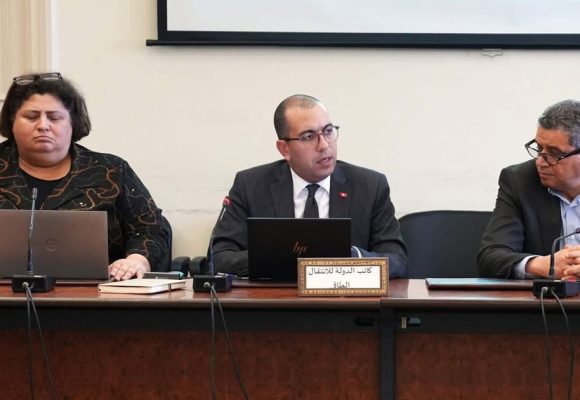 Du nouveau sur l’interconnexion électrique Tunisie – Italie