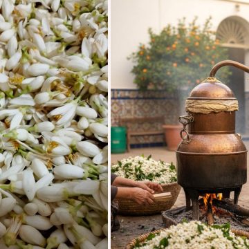 La saison du zhar est de retour à Nabeul