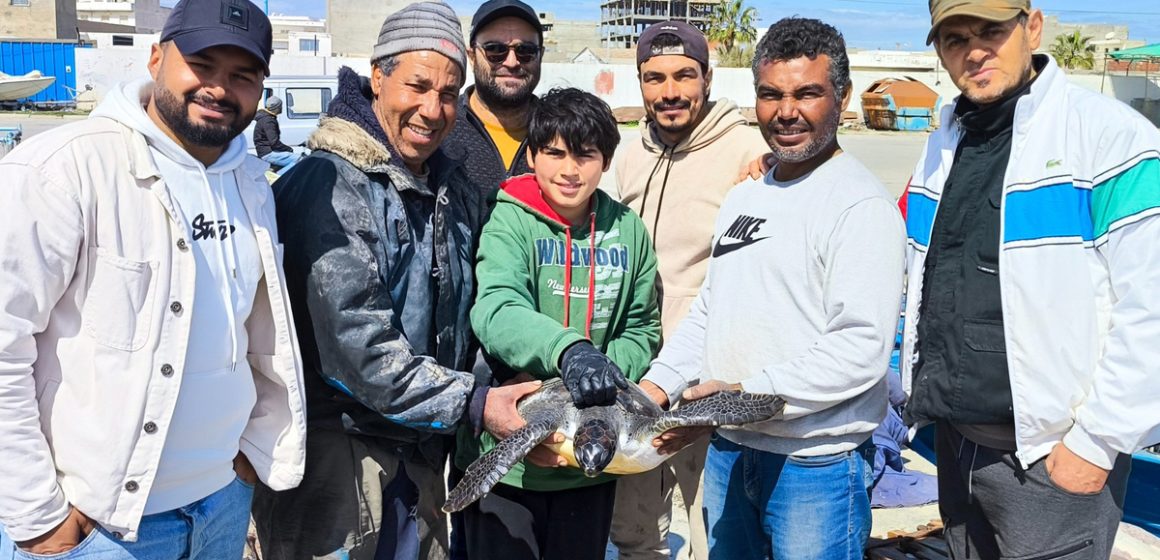 « Emna », une tortue verte sauvée grâce à la vigilance des pêcheurs (Photos)