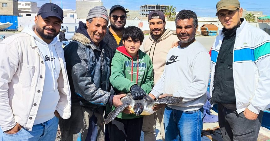 « Emna », une tortue verte sauvée grâce à la vigilance des pêcheurs (Photos)