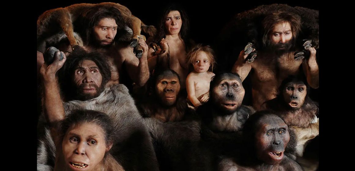 L’histoire cachée de nos ancêtres multiples