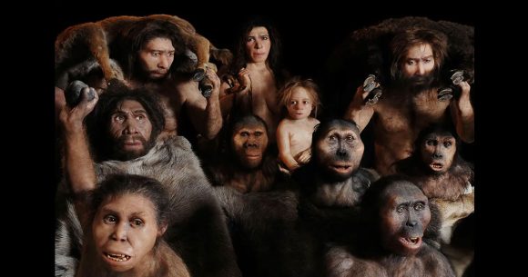 Evolution-Humanite L’histoire cachée de nos ancêtres multiples