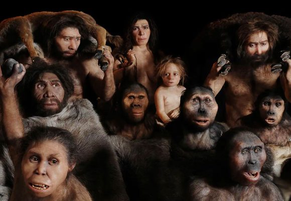 L’histoire cachée de nos ancêtres multiples