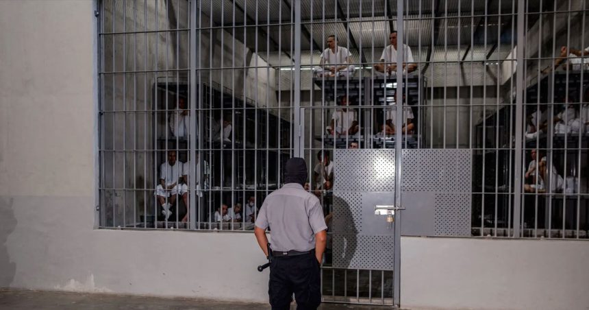 Donald Trump envoie les migrants en Afrique !