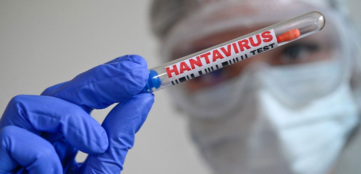 Aucun cas d’hantavirus n’a été enregistré en Tunisie