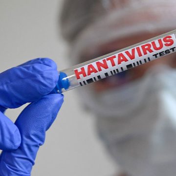 Aucun cas d’hantavirus n’a été enregistré en Tunisie