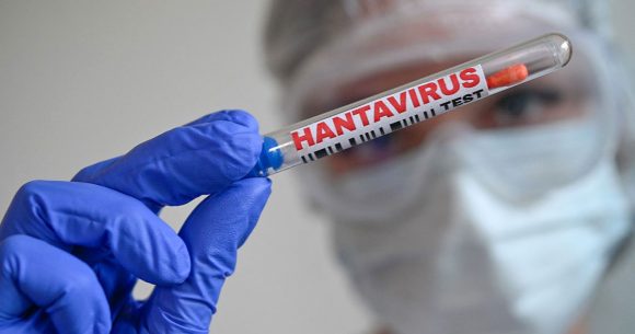 Hantavirus Aucun cas d’hantavirus n’a été enregistré en Tunisie