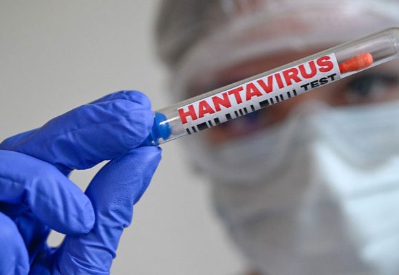 Aucun cas d’hantavirus n’a été enregistré en Tunisie