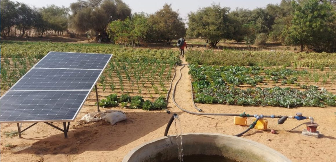 L’irrigation solaire pour sauver l&rsquo;agriculture en Tunisie